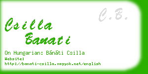 csilla banati business card